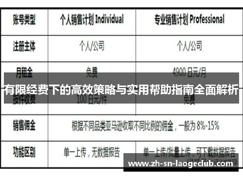 有限经费下的高效策略与实用帮助指南全面解析