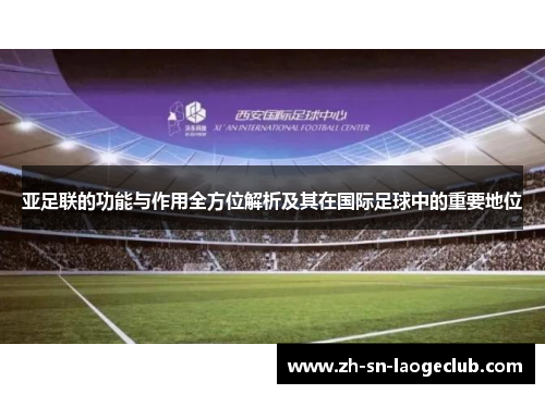 亚足联的功能与作用全方位解析及其在国际足球中的重要地位