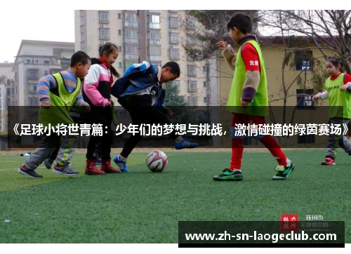 《足球小将世青篇：少年们的梦想与挑战，激情碰撞的绿茵赛场》