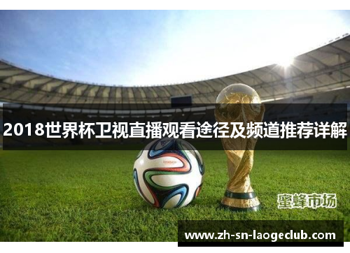 2018世界杯卫视直播观看途径及频道推荐详解