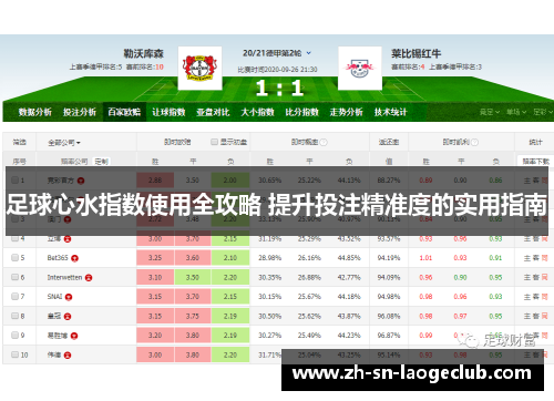 足球心水指数使用全攻略 提升投注精准度的实用指南 足球心水指数使用全攻略 提升投注精准度的实用指南