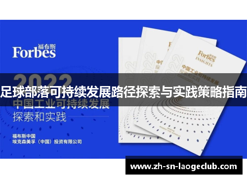 足球部落可持续发展路径探索与实践策略指南 足球部落可持续发展路径探索与实践策略指南
