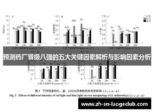 预测药厂晋级八强的五大关键因素解析与影响因素分析 预测药厂晋级八强的五大关键因素解析与影响因素分析