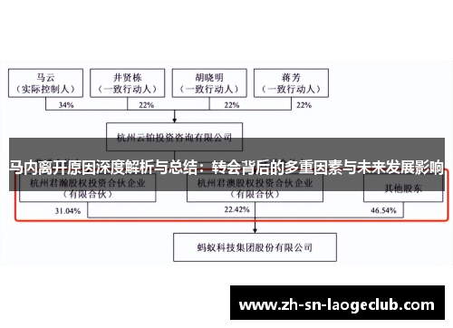 马内离开原因深度解析与总结：转会背后的多重因素与未来发展影响