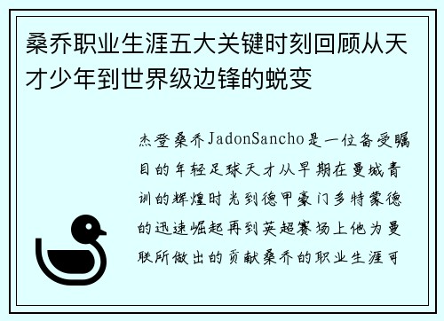 桑乔职业生涯五大关键时刻回顾从天才少年到世界级边锋的蜕变 桑乔职业生涯五大关键时刻回顾从天才少年到世界级边锋的蜕变