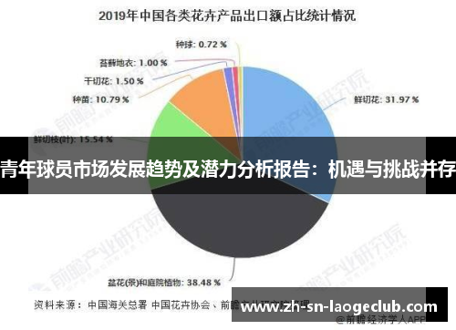 青年球员市场发展趋势及潜力分析报告:机遇与挑战并存 青年球员市场发展趋势及潜力分析报告:机遇与挑战并存